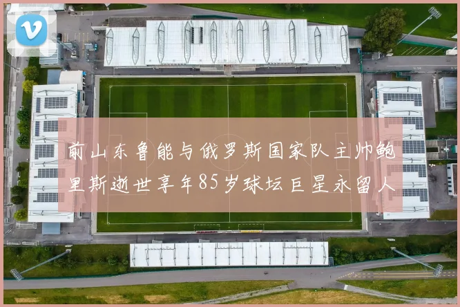 前山东鲁能与俄罗斯国家队主帅鲍里斯逝世享年85岁球坛巨星永留人间