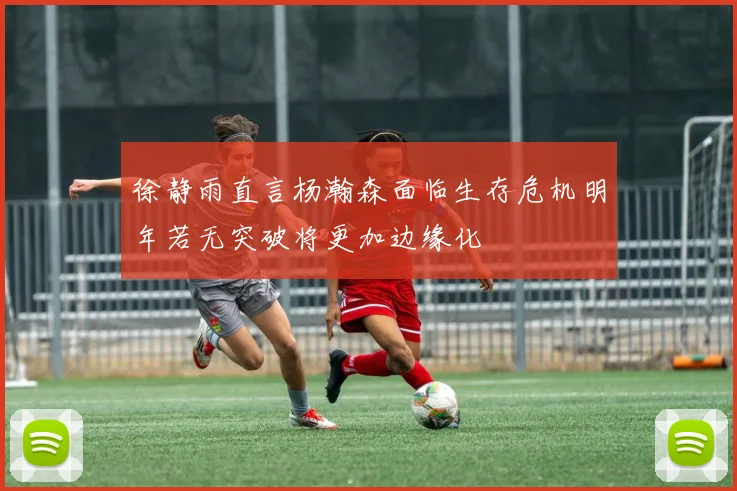 徐静雨直言杨瀚森面临生存危机明年若无突破将更加边缘化